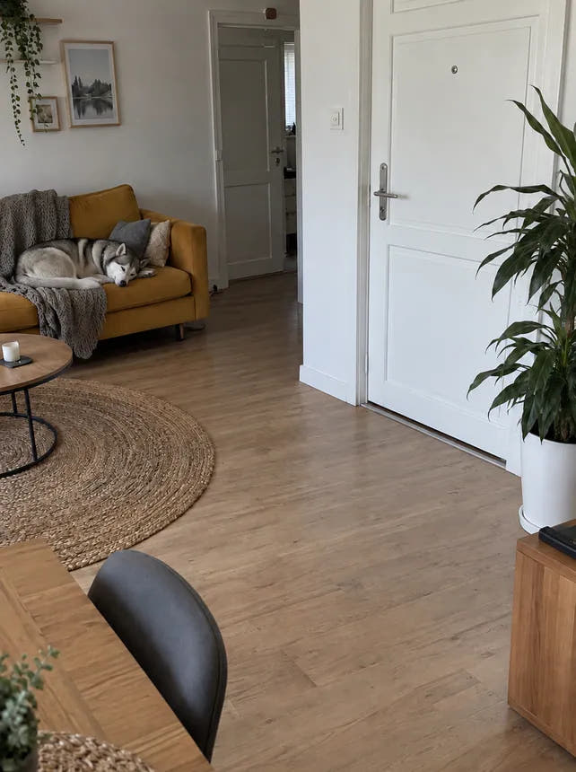 After: settled at home alone