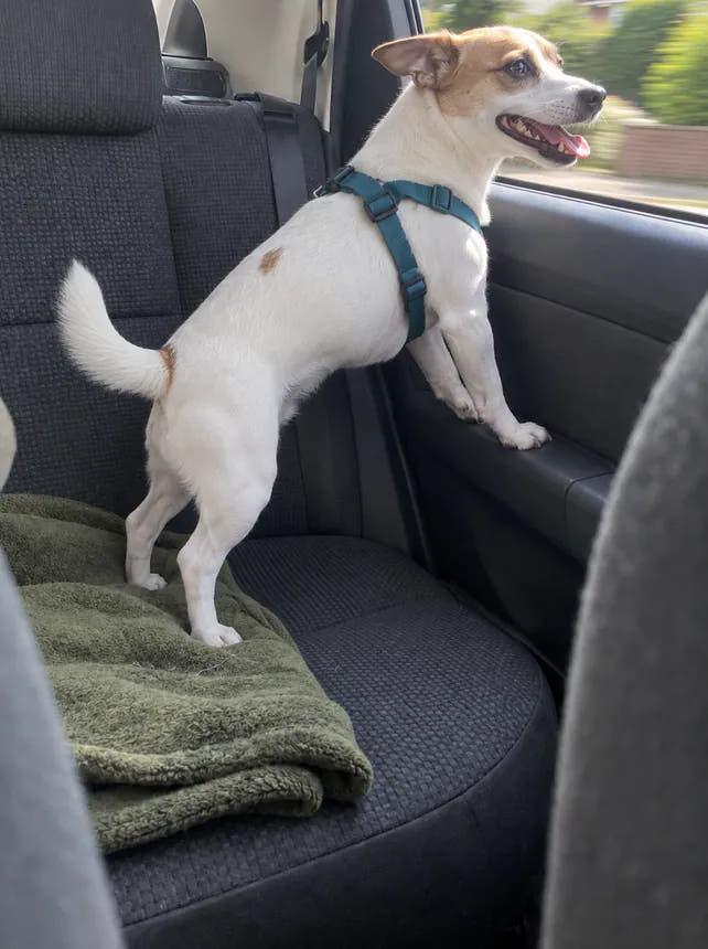 After: relaxed on the car ride