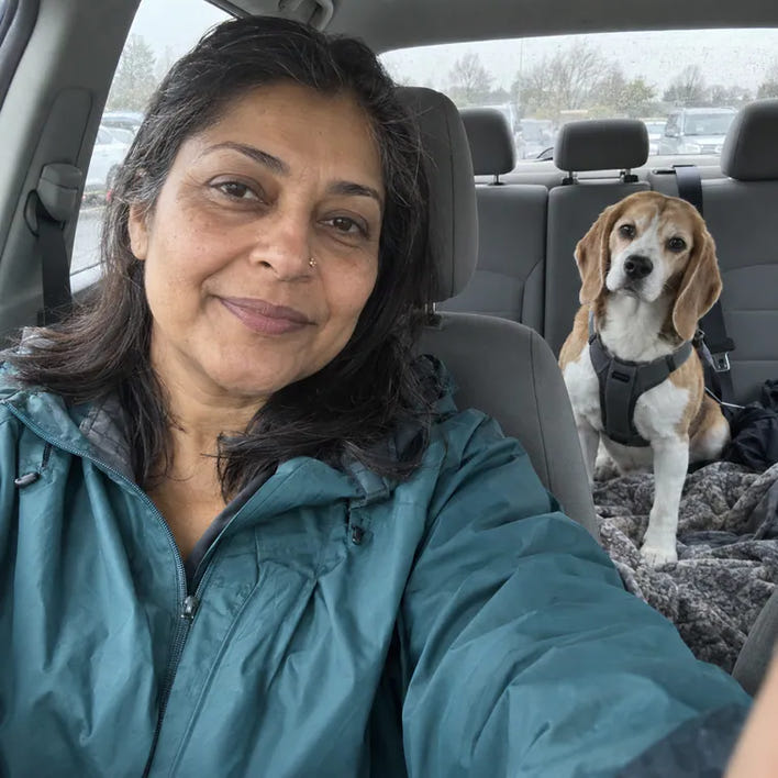 Rocket, beagle