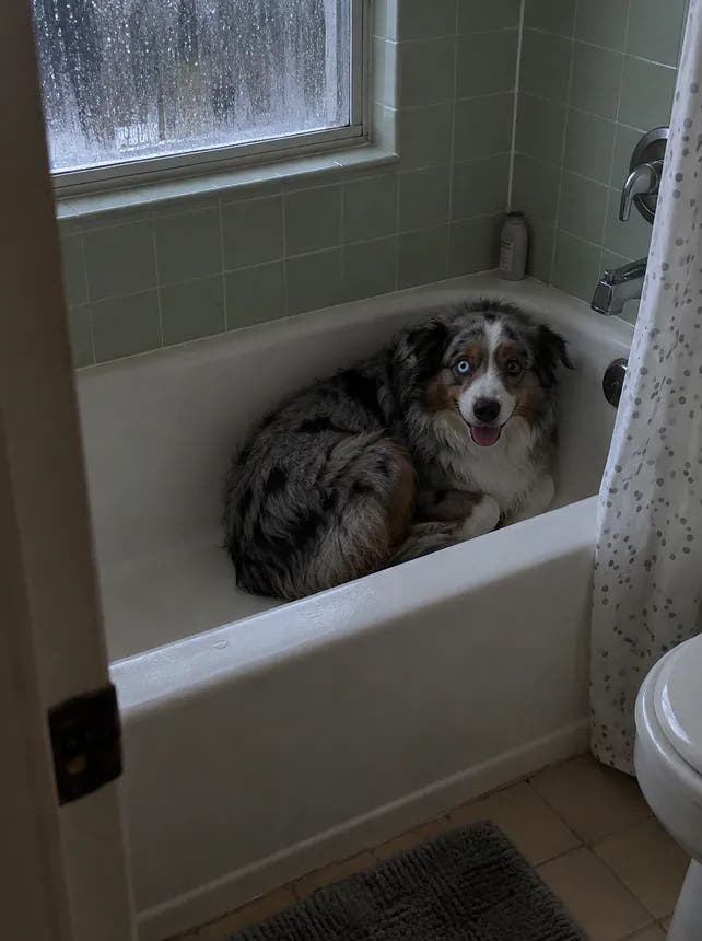 Before: hiding during a storm