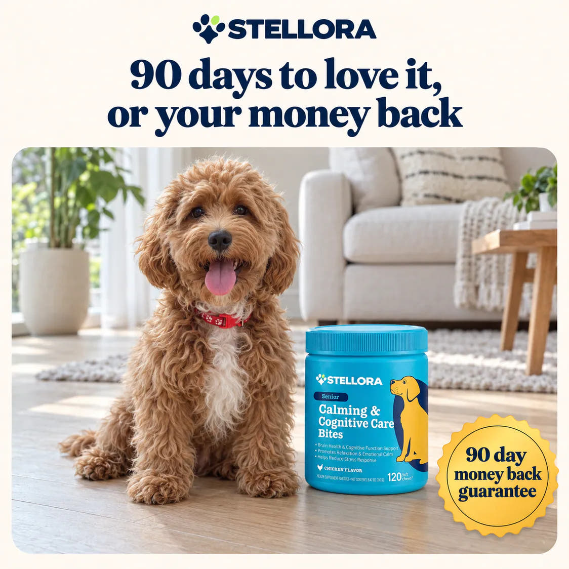 Charlie beside the jar with the 90 day guarantee seal