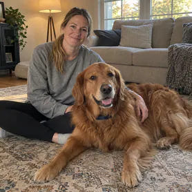 A large golden retriever at home with its owner
