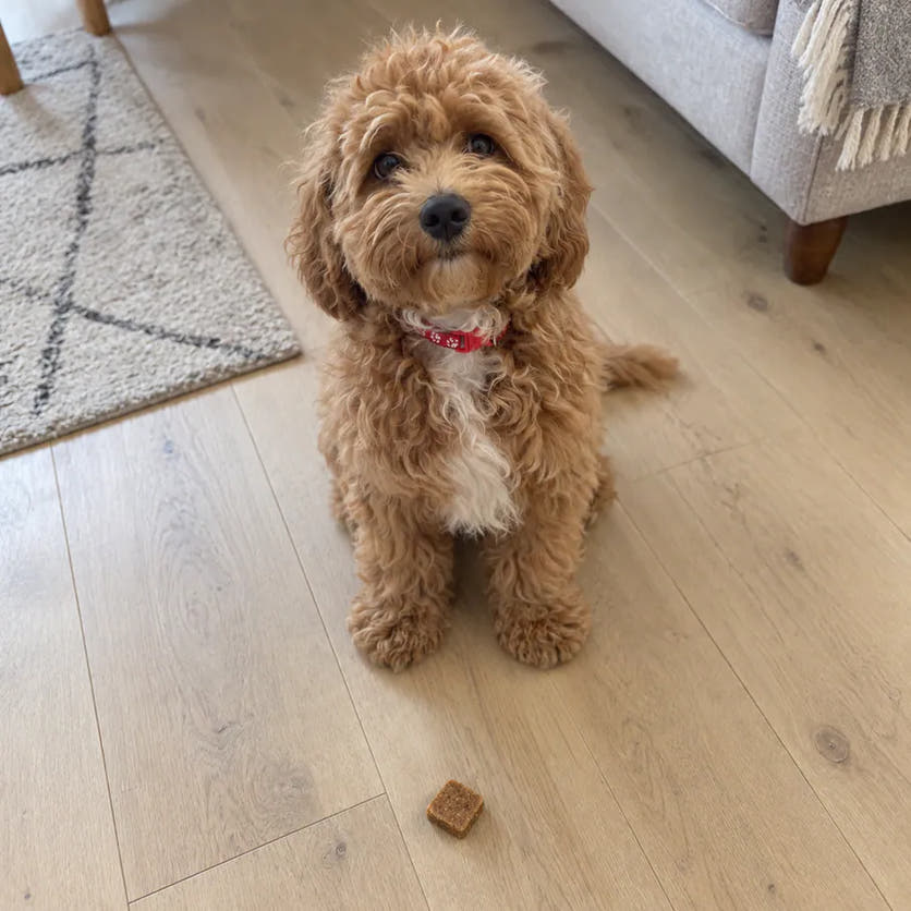Charlie