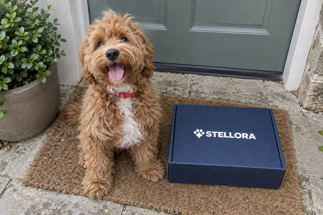 Charlie with a Stellora box