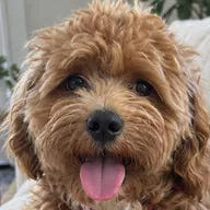 Charlie