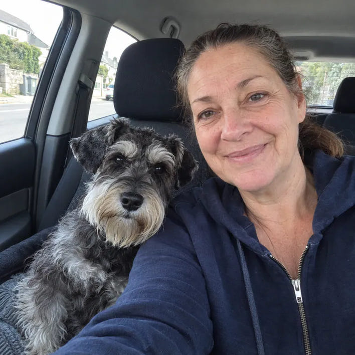 Milo, mini schnauzer