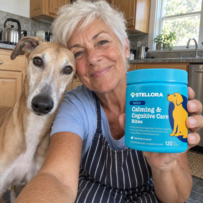 Olive, greyhound