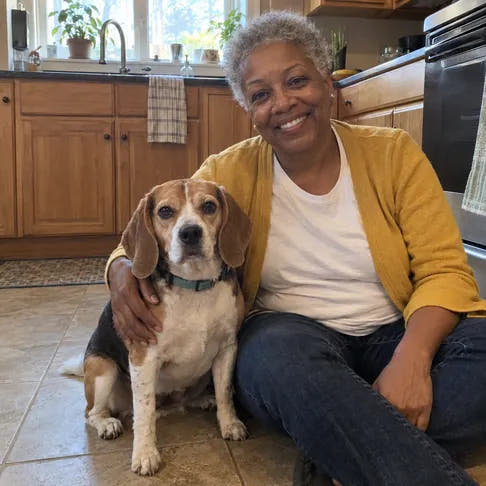 A medium beagle at home with its owner